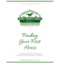Finding Your First Horse