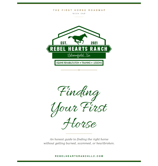 Finding Your First Horse