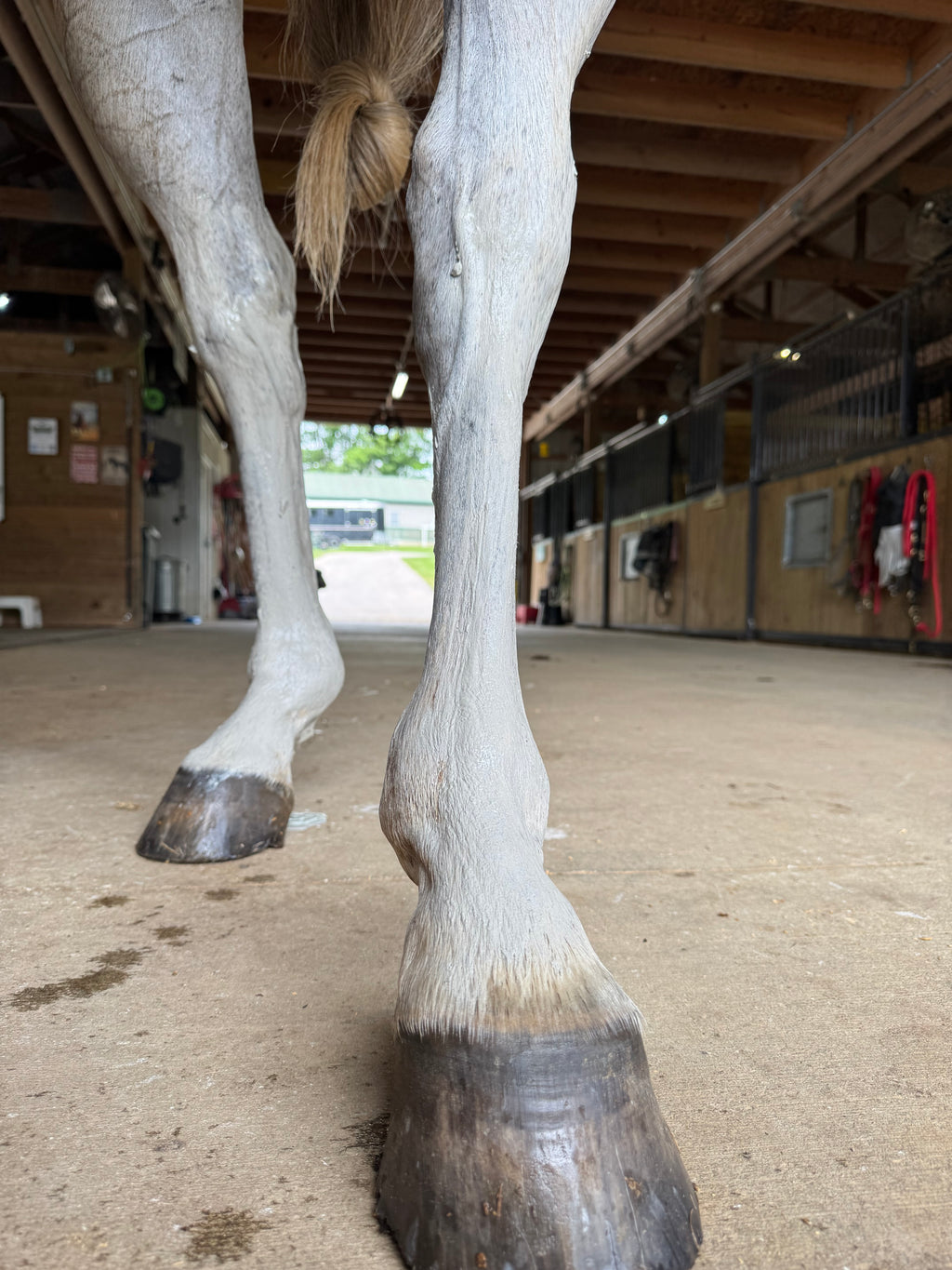 Rebel Hearts Ranch PowerUp Poultice