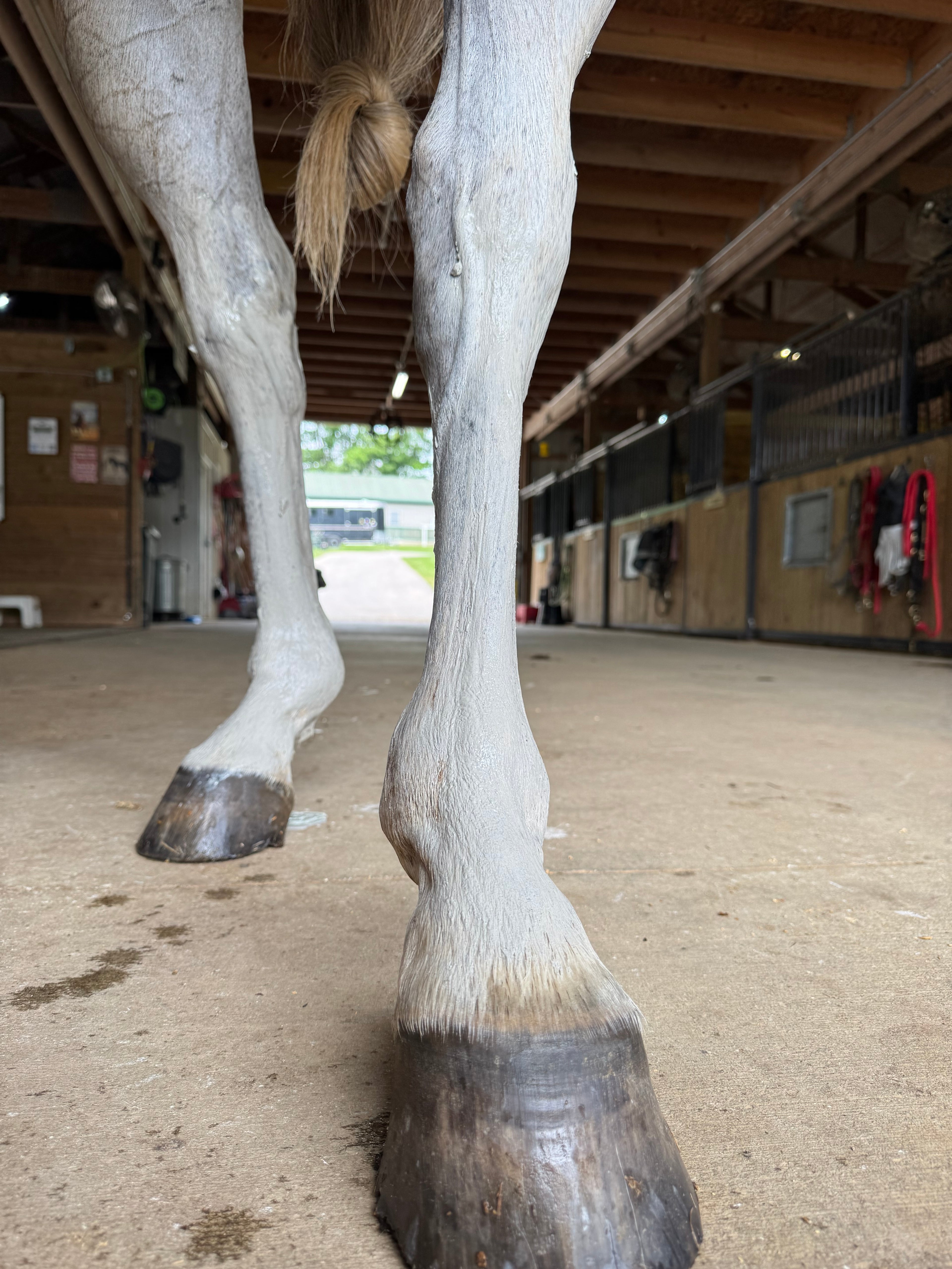 Rebel Hearts Ranch PowerUp Poultice