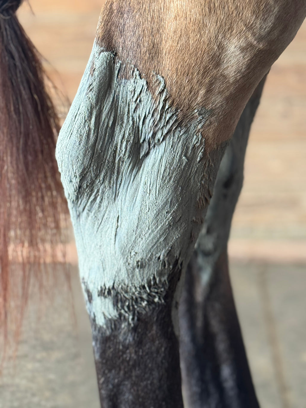 Rebel Hearts Ranch PowerUp Poultice