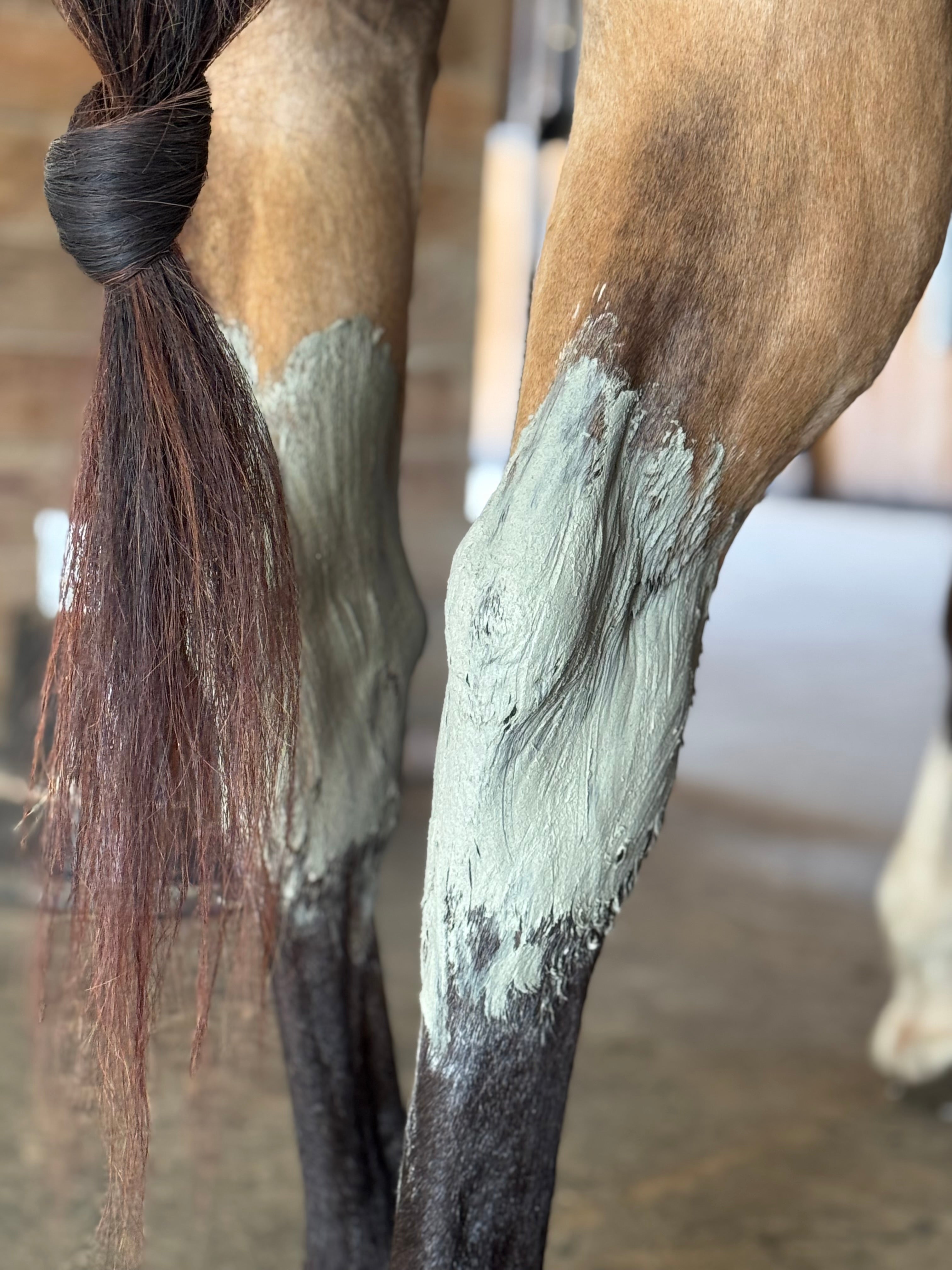 Rebel Hearts Ranch PowerUp Poultice
