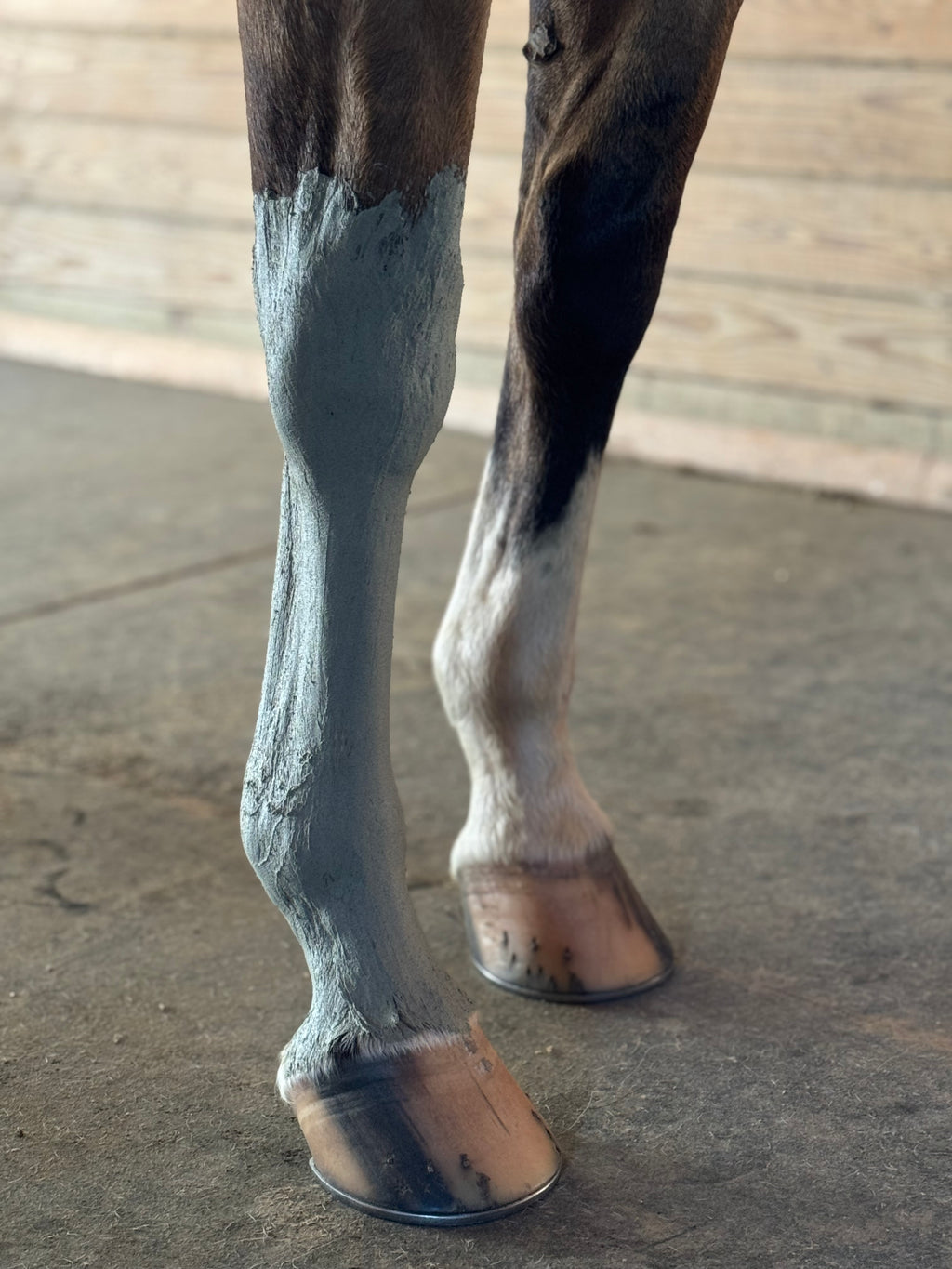 Rebel Hearts Ranch PowerUp Poultice