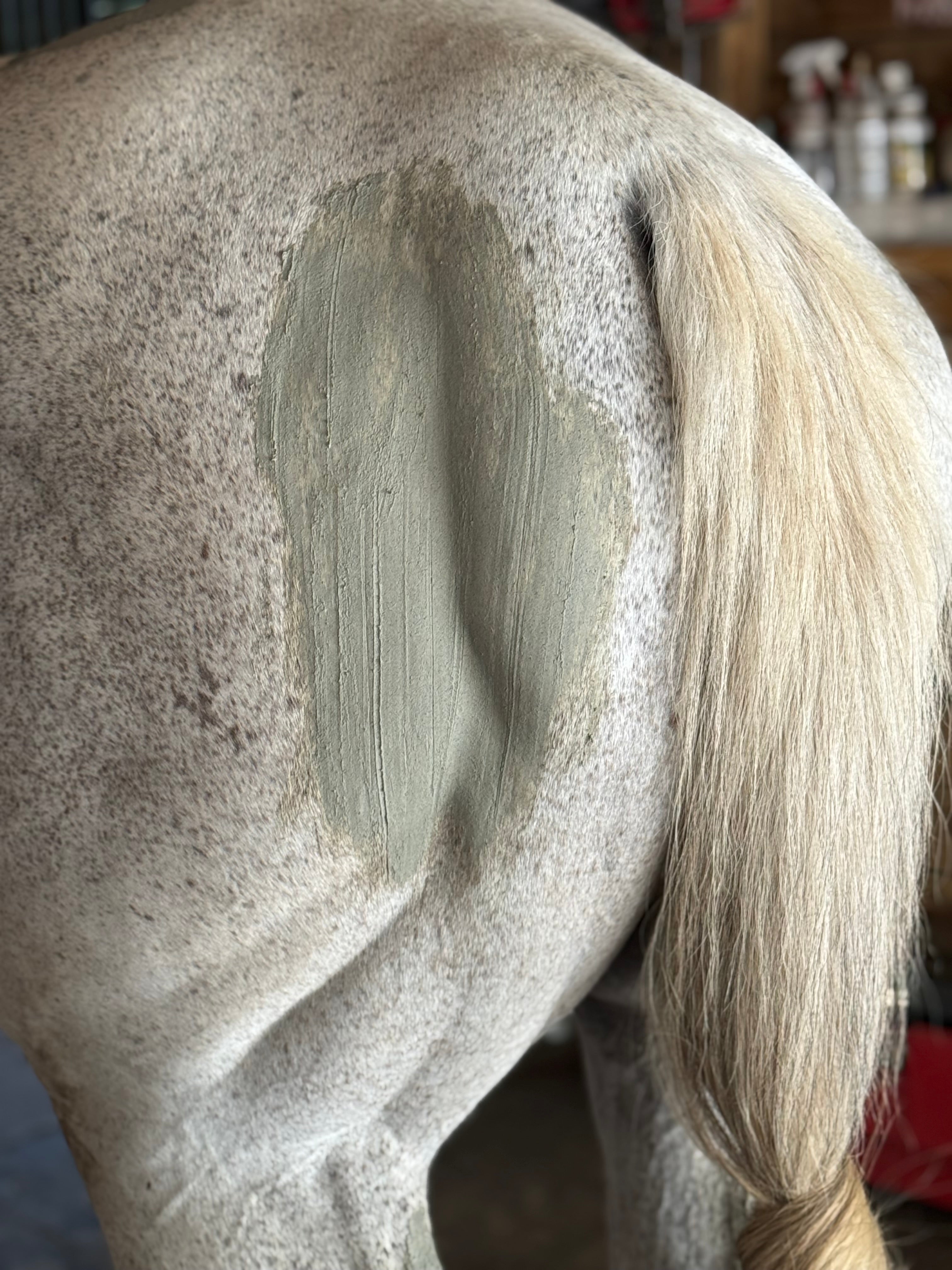 Rebel Hearts Ranch PowerUp Poultice
