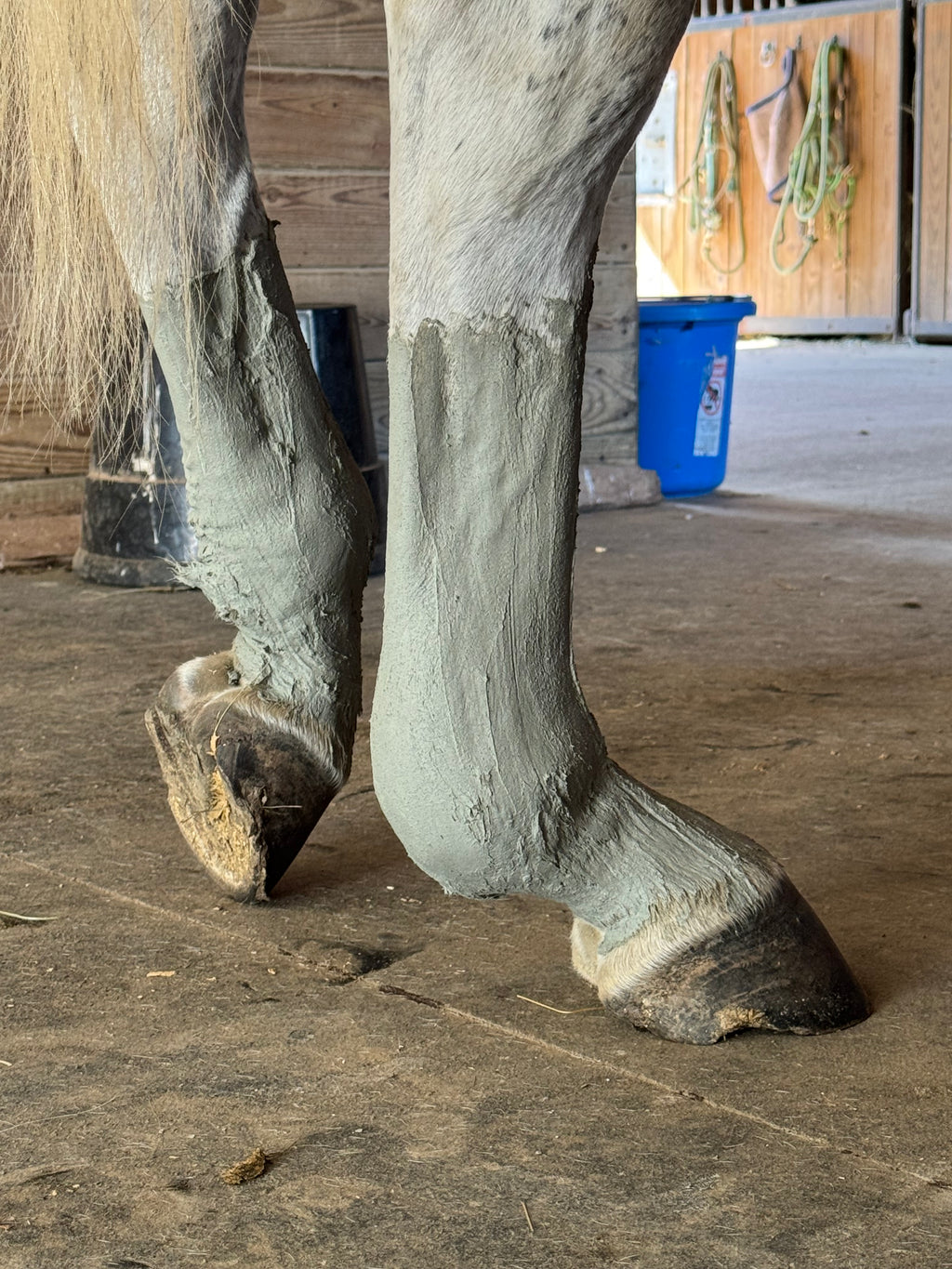 Rebel Hearts Ranch PowerUp Poultice