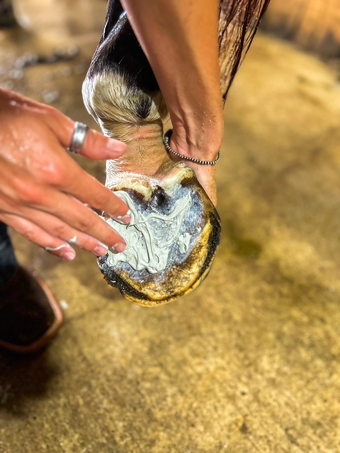 Rebel Hearts Ranch PowerHoof Anti-Thrush Putty