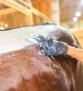 Rebel Hearts Ranch PowerUp Poultice